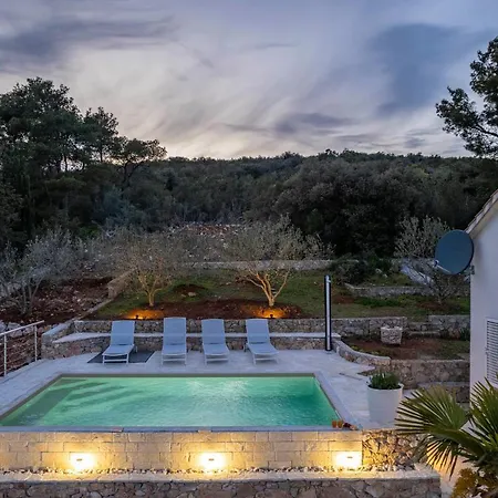 Willa With Swimming Pool - Dugi Otok,