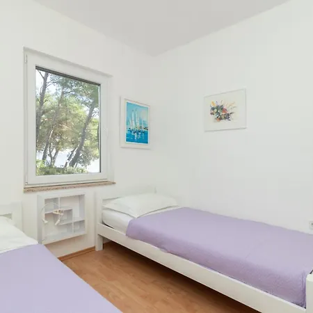 With Swimming Pool - Dugi Otok, Вилла