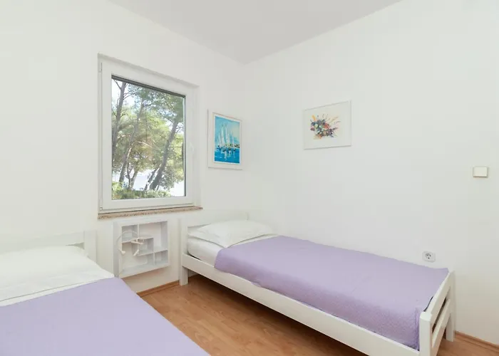 With Swimming Pool - Dugi Otok, Villa